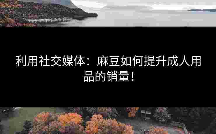 利用社交媒体：麻豆如何提升成人用品的销量！