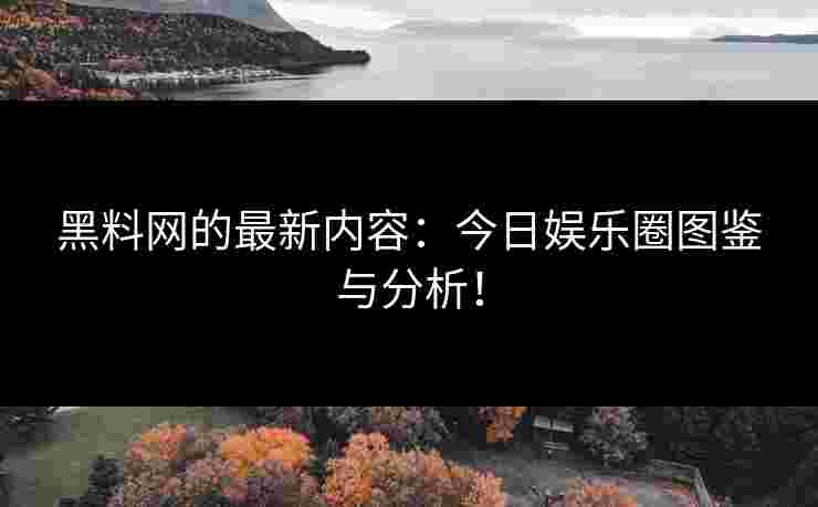 黑料网的最新内容：今日娱乐圈图鉴与分析！